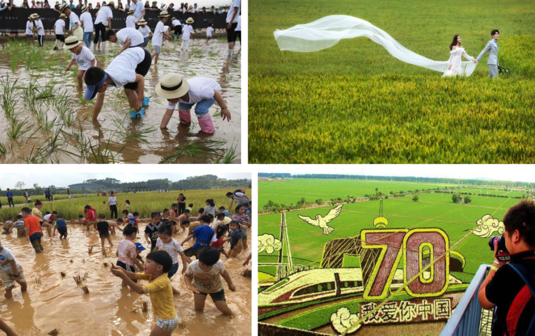 唐县现代有机农业产业带暨乡村振兴示范带总体规划