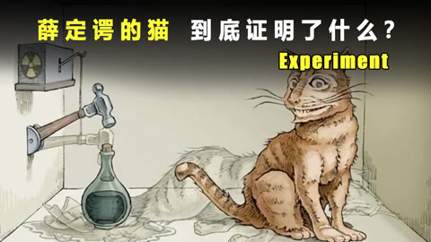 解读思想实验"薛定谔的猫",该实验的实际意义是什么?