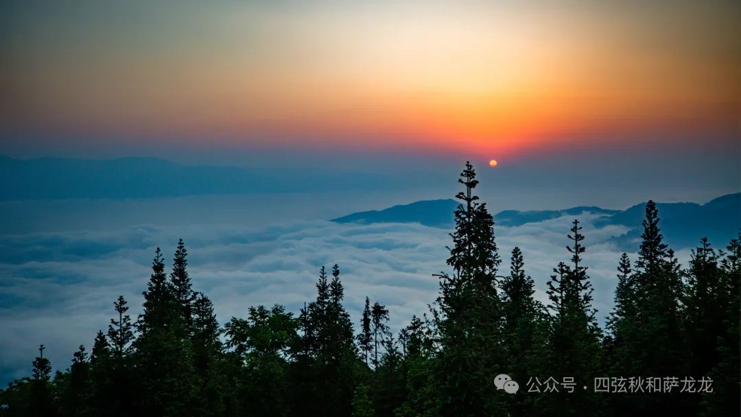 红河撒玛坝梯田的美景图片