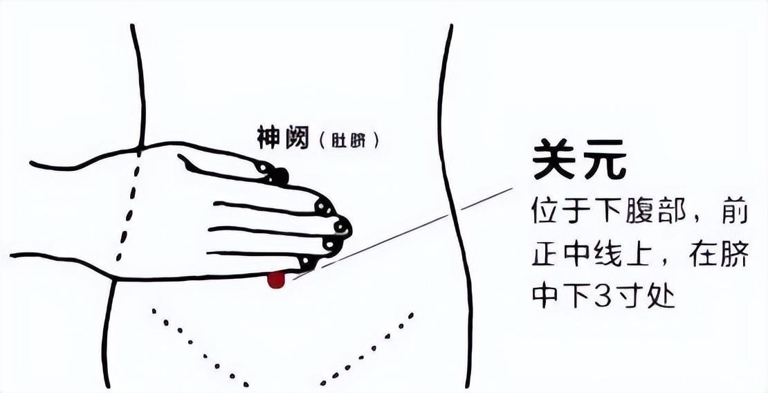 关元穴 关元穴位于肚脐下方,大概四个指头,不仅补肾阳,同时还能将补进