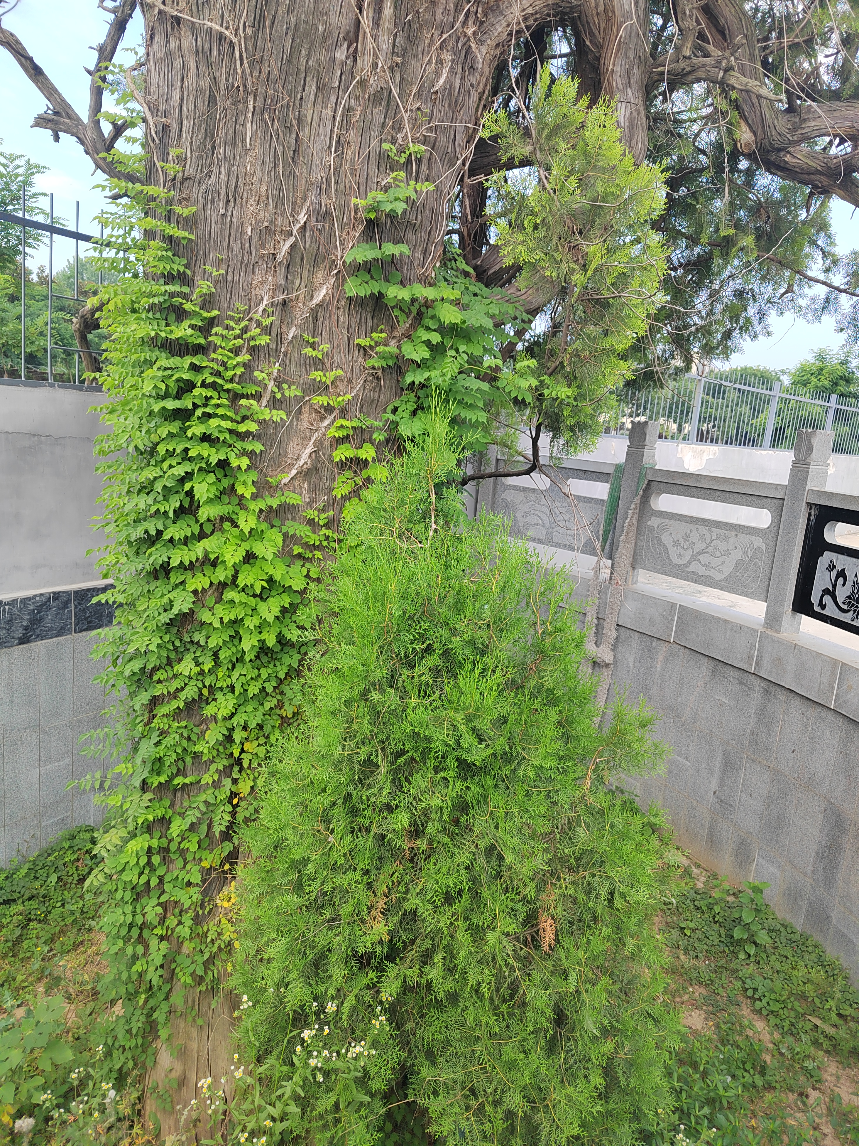 家丑不可外扬,聪明的女人不会对外说婆家的是非,公