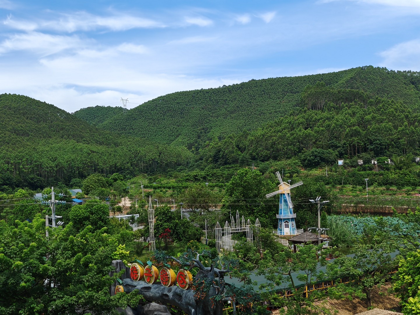 军旅书法家李桂强先生一行参观四会桔子小镇景区