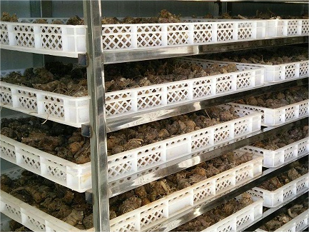 控温烘干蒸汽发生器:药材烘干的动力源