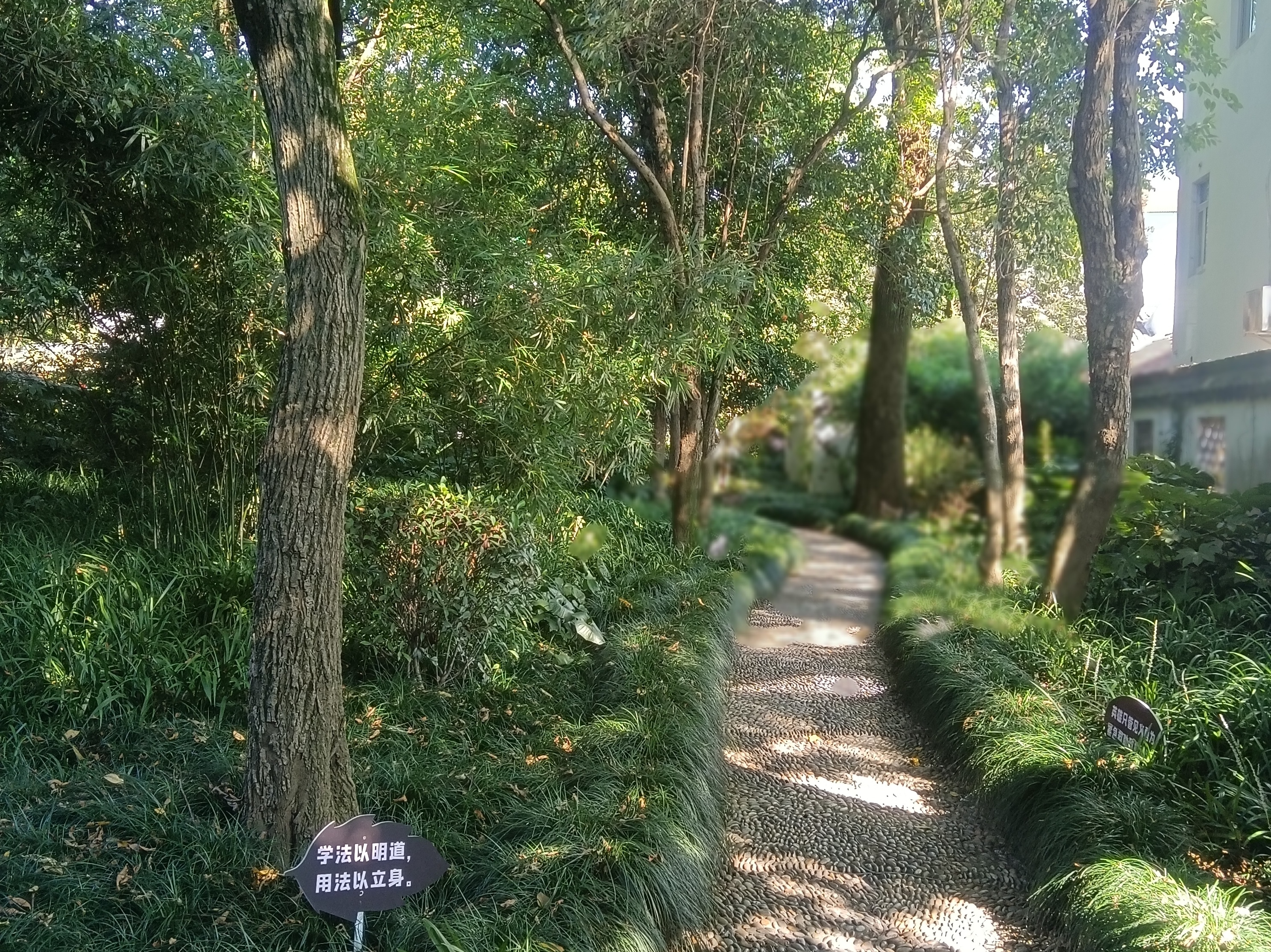 张堰公园在盛夏