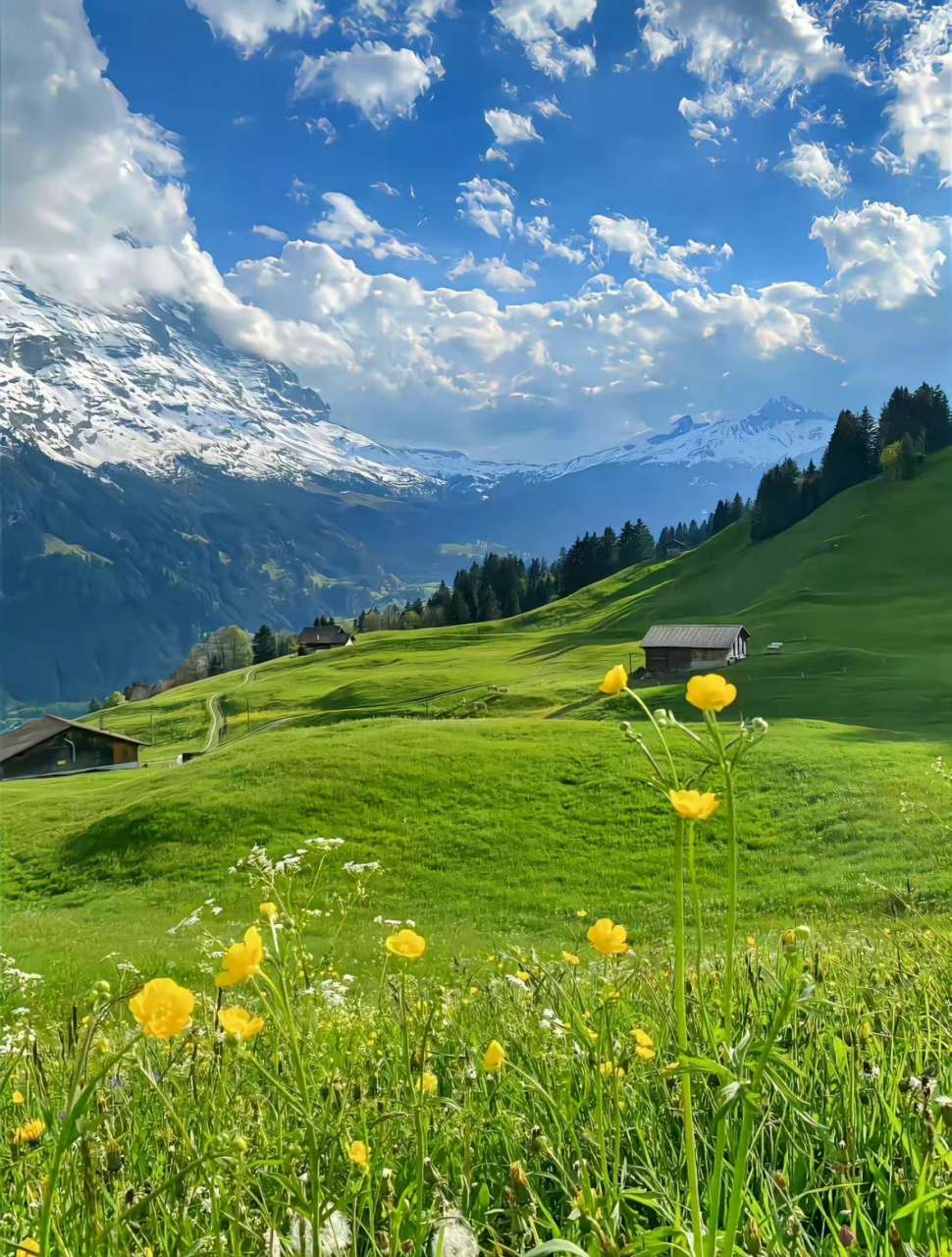 新的一天,与阳光同行!☀ ​​​