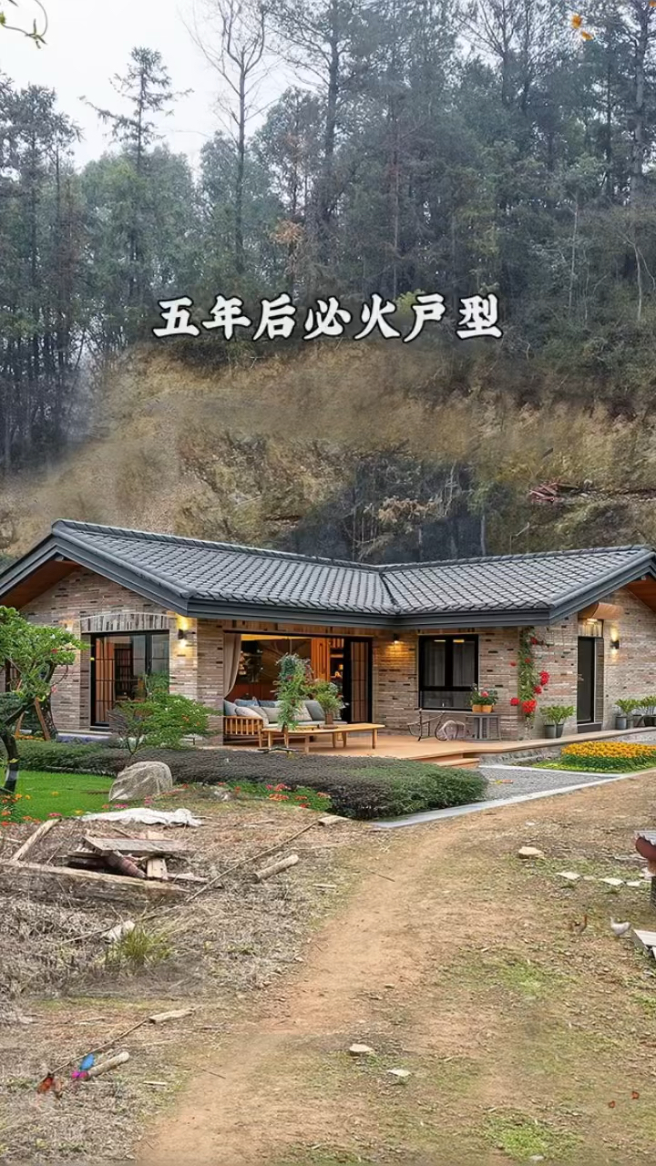 五年后农村必火的平房,太好看了