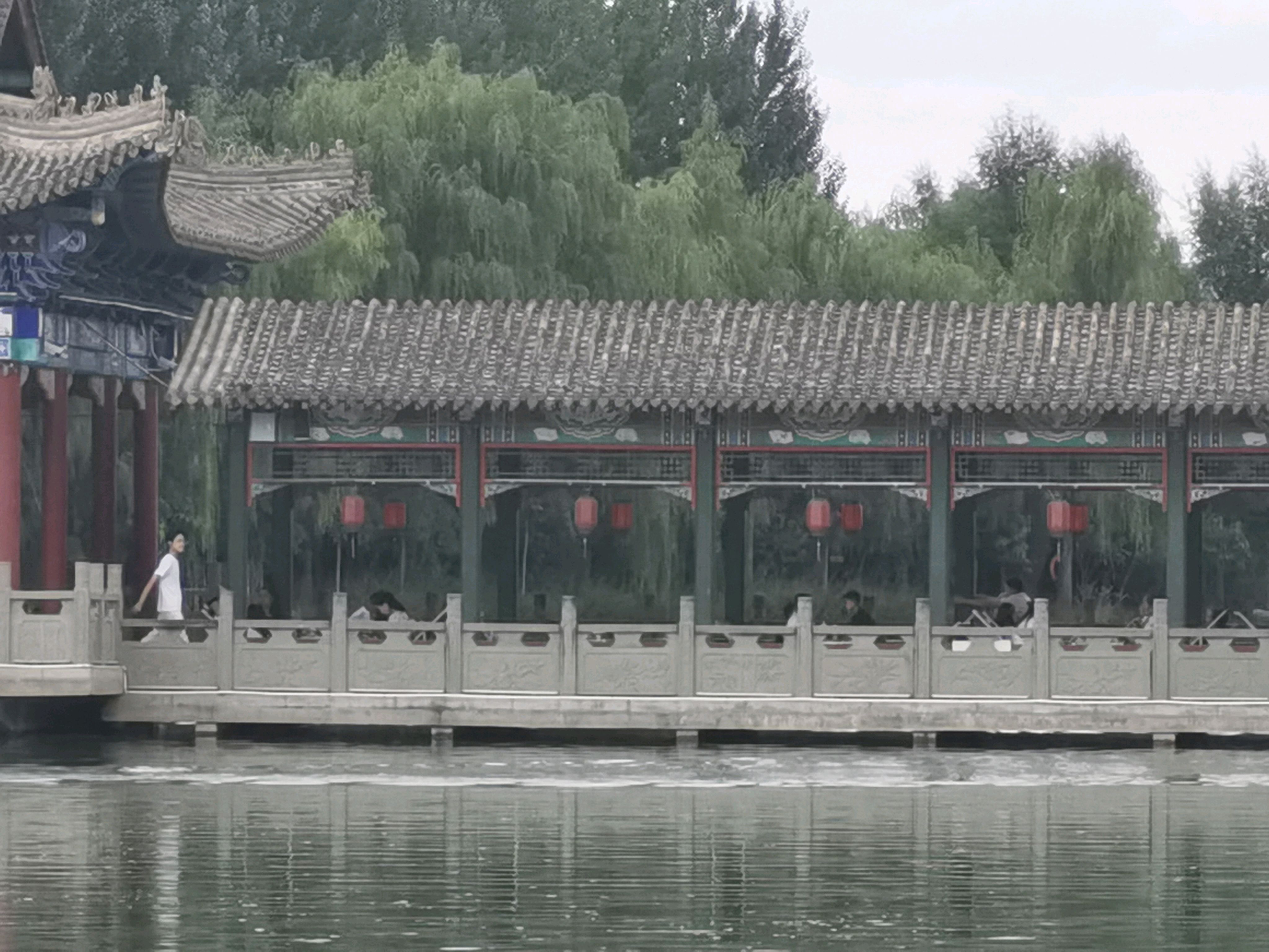 明园避暑,夏日嬉戏!古有吕布戏貂蝉,暑日纳凉到明园,临洮美景