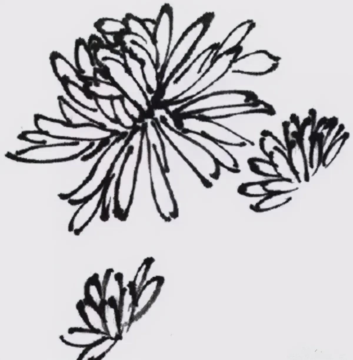 简单三步画国画水墨菊花