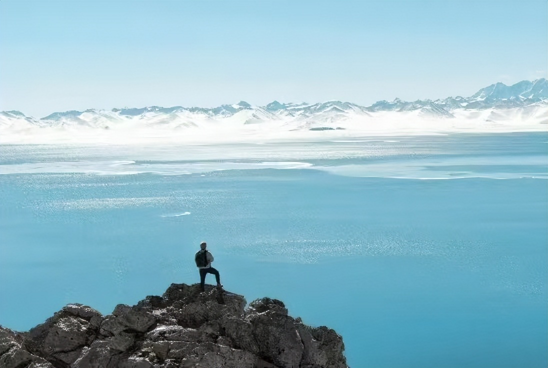 董卿:所有女神的另一面都是女汉子