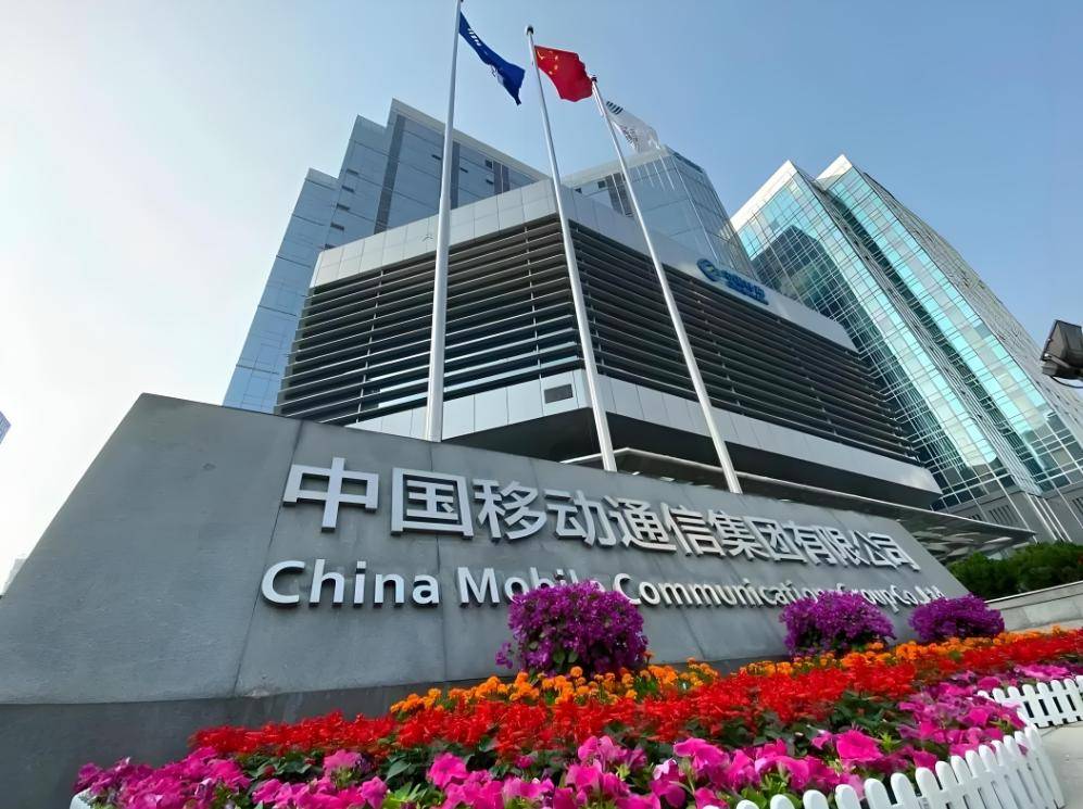 中国移动通信集团董事长,杨杰简历