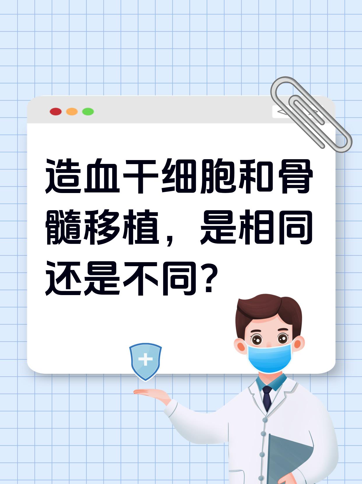 造血干细胞和骨髓移植,是相同还是不同?