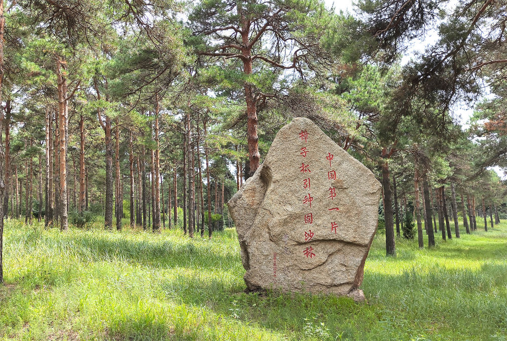 辽东松山图片