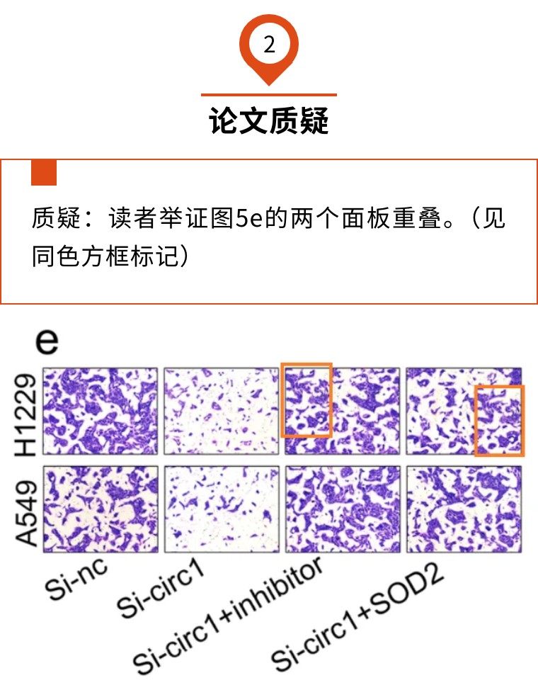 嘉善中医院预约挂号(嘉善中医院预约挂号泌尿科专家)