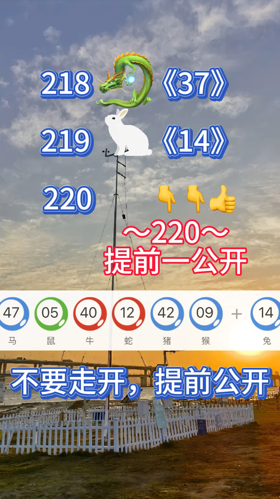 新澳门220开什么