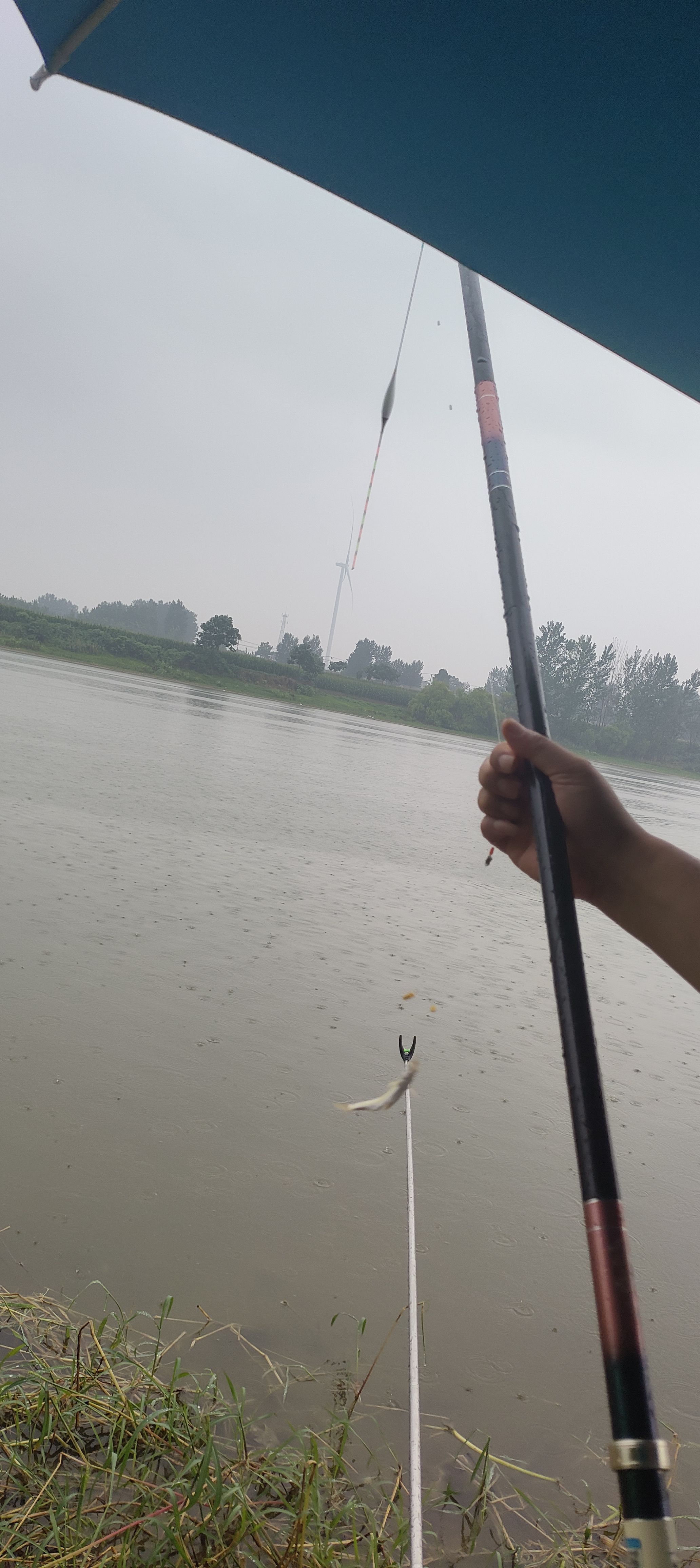雨中钓鱼,别有一番韵味.雨滴落在河面,犹如置身诗画之中,美不胜收