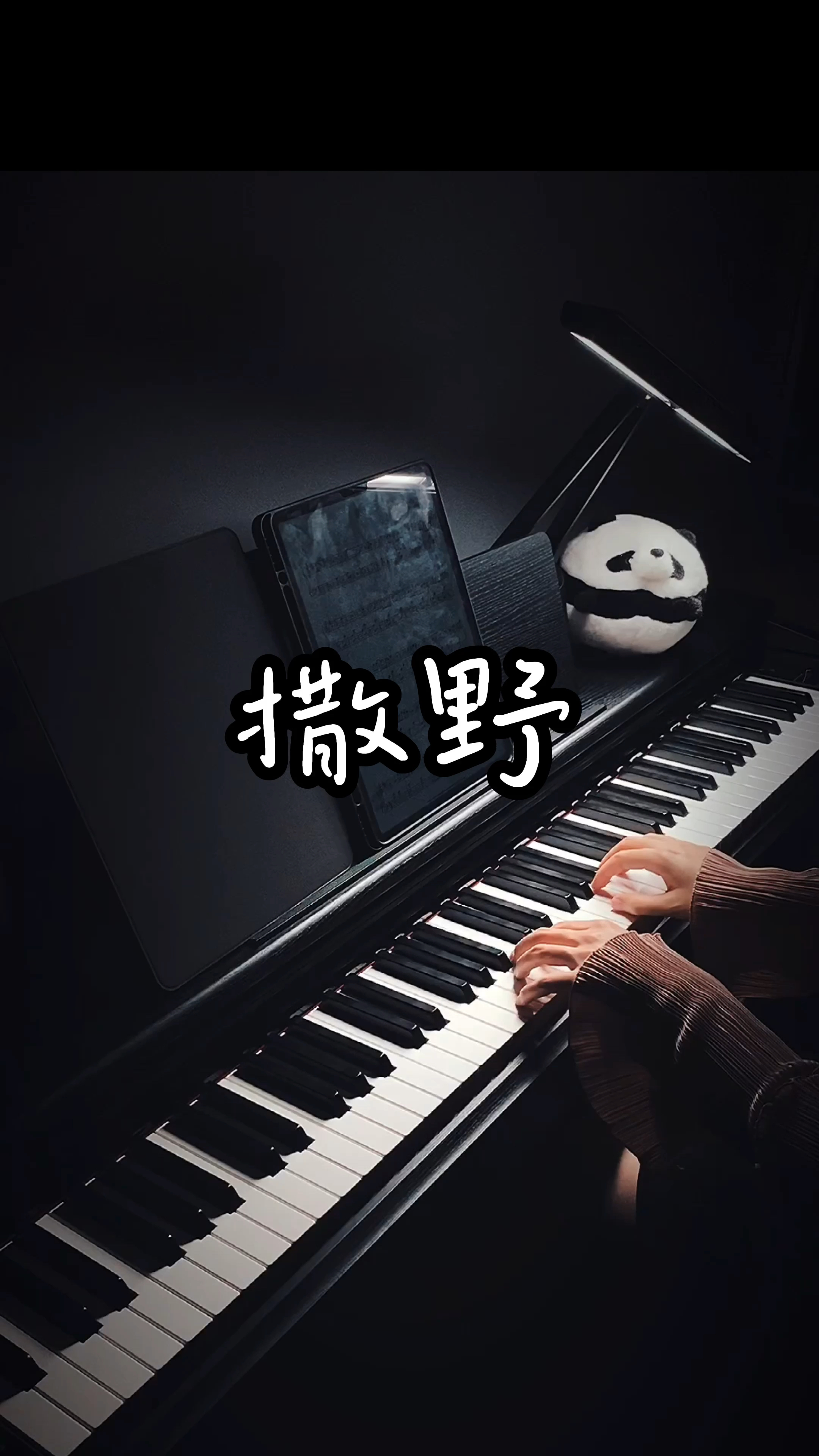 《撒野》超温柔版本钢琴弹奏