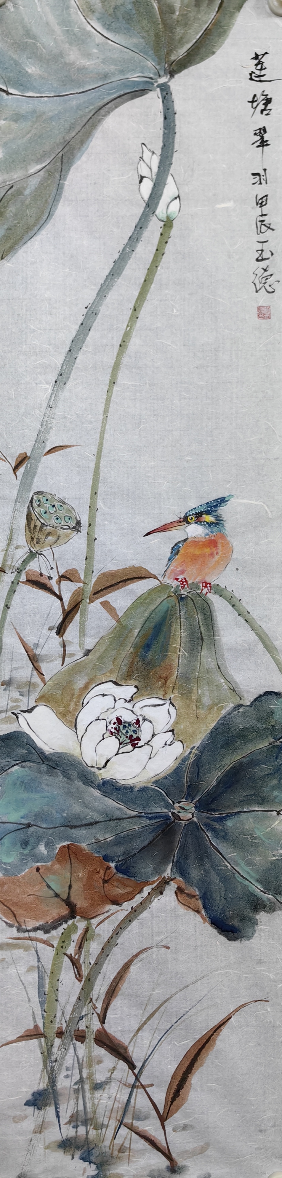 《莲塘翠羽》荷花翠鸟