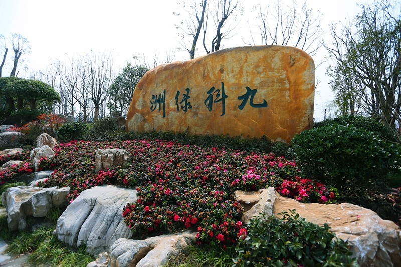 松江九科绿洲:逃离喧嚣,拥抱自然的秘密花园!