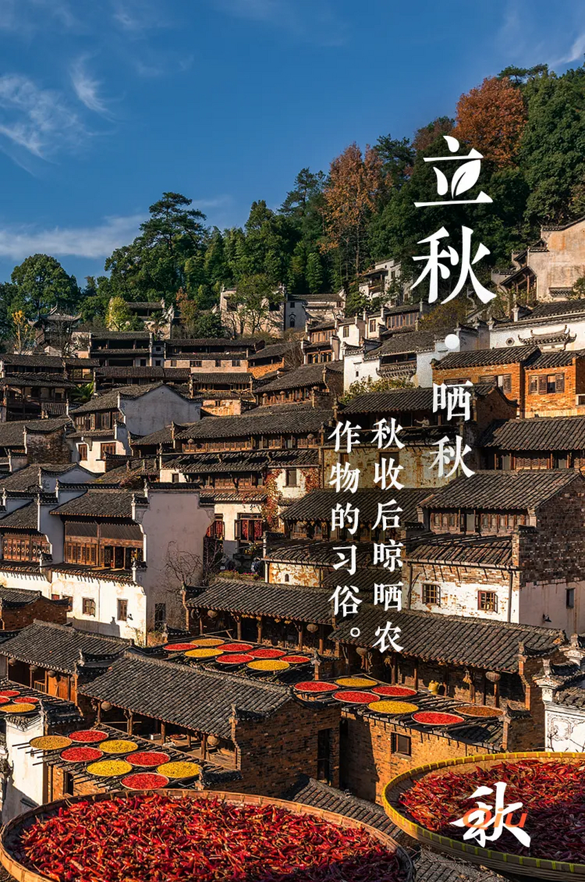 热点引擎计划# #立秋#  #动态连更