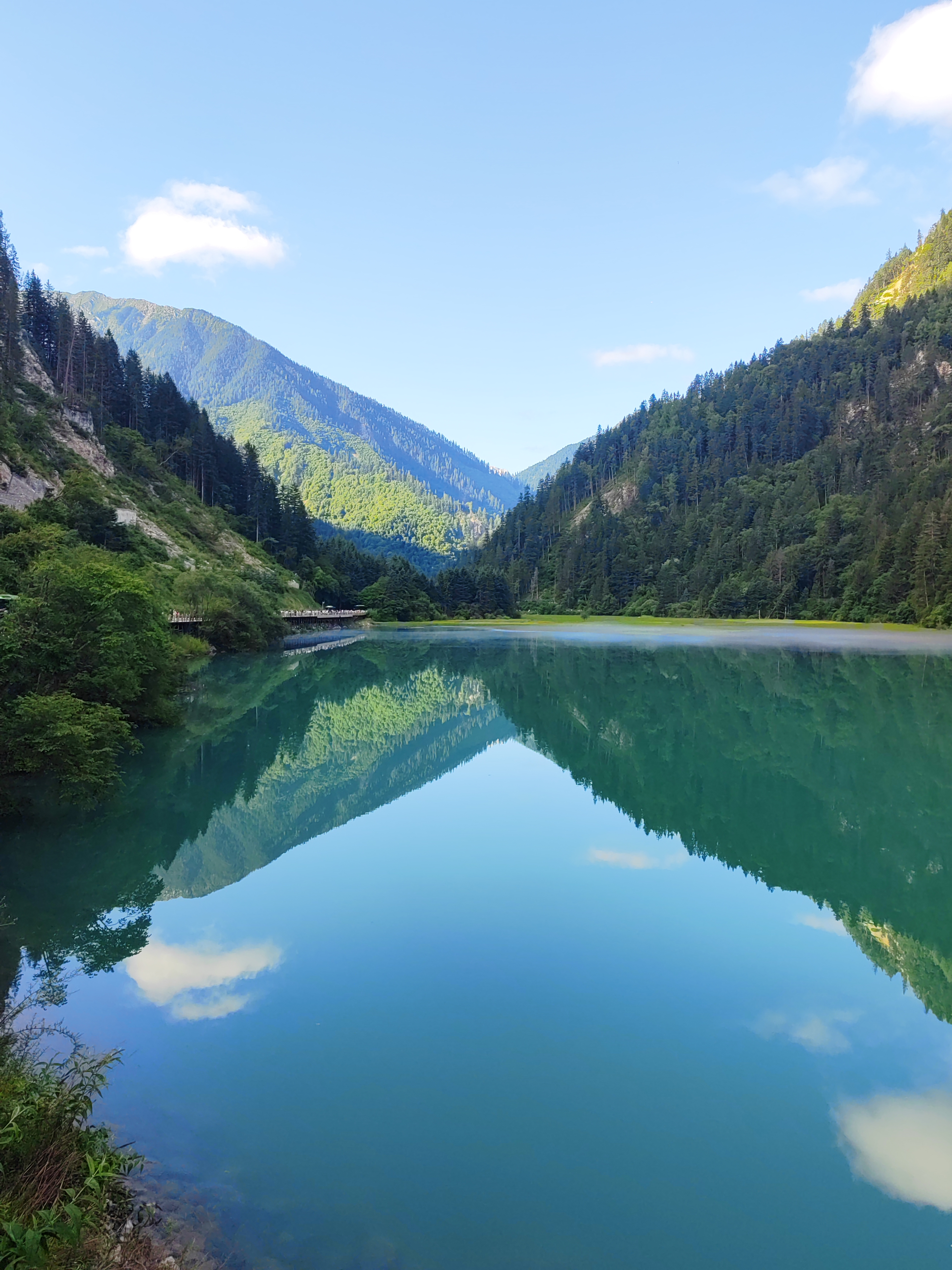 九寨夏天美景图片竖版图片