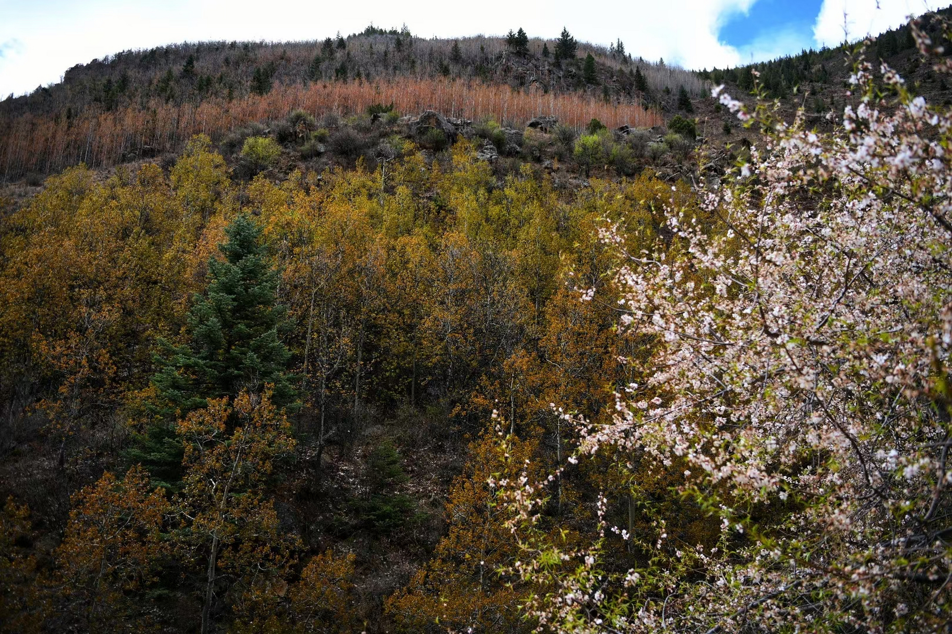 西藏芒康·红拉山/觉巴山