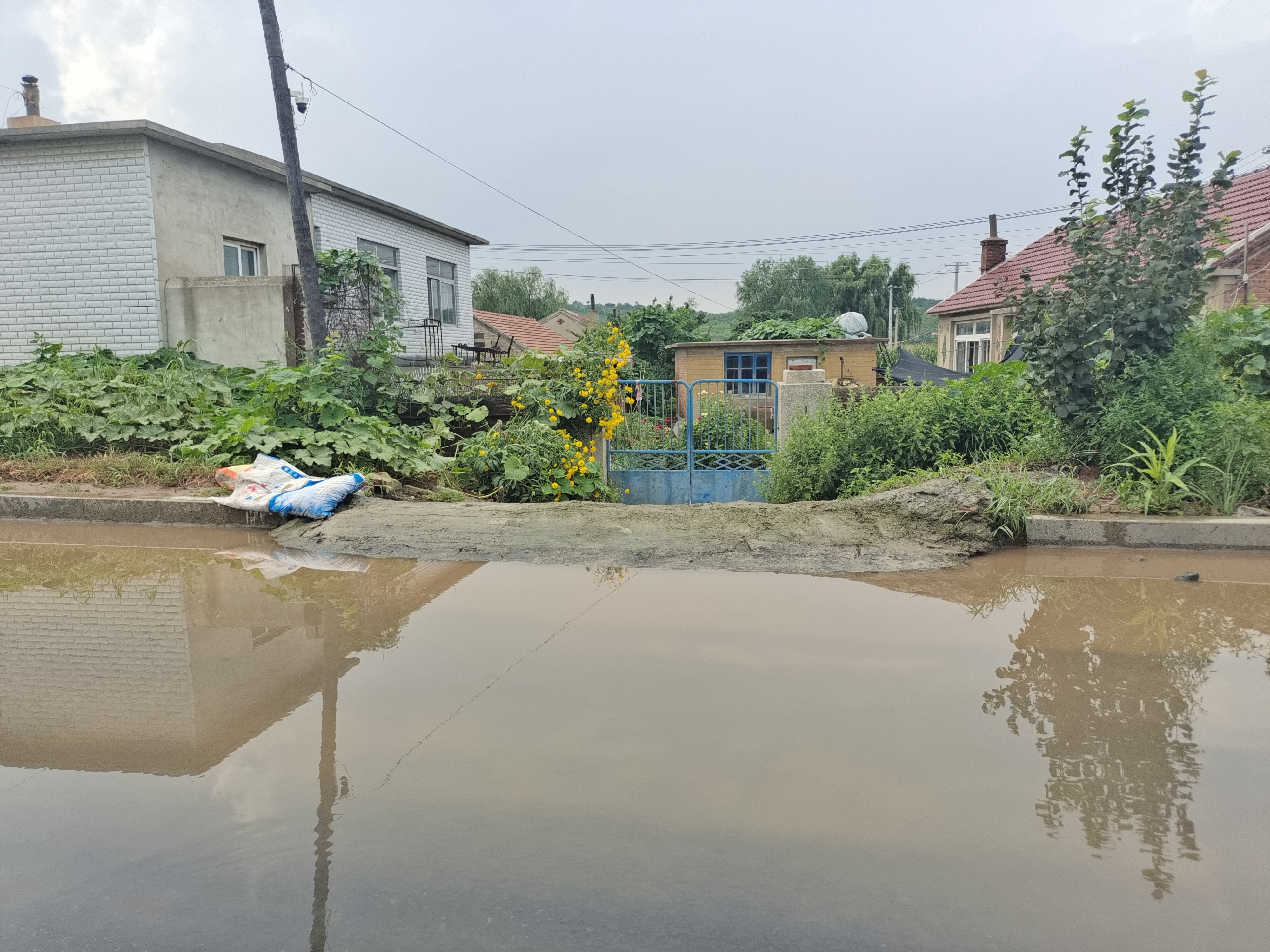 辽阳小屯镇水峪村原本是一座安静的小山村,2024年8月5日傍晚一场突如