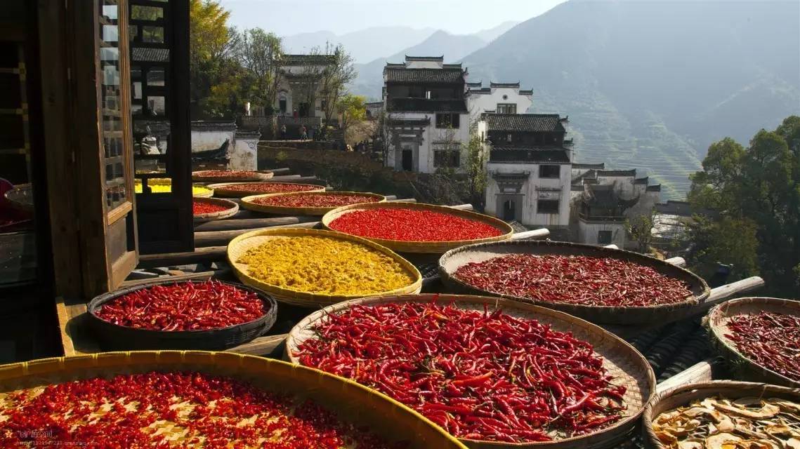 立秋|秋已立,暑难消