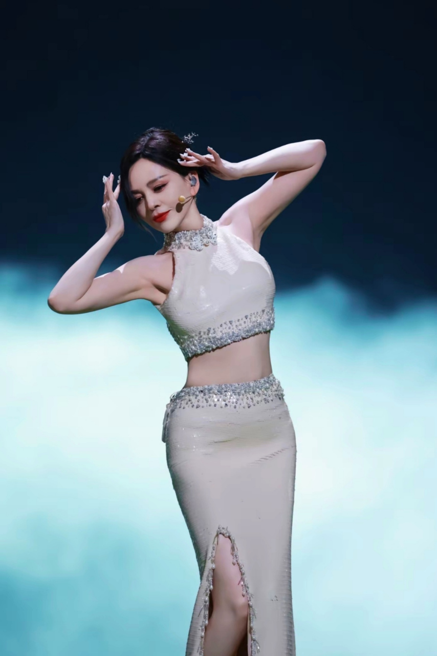 雪姨王琳,好美的衣服