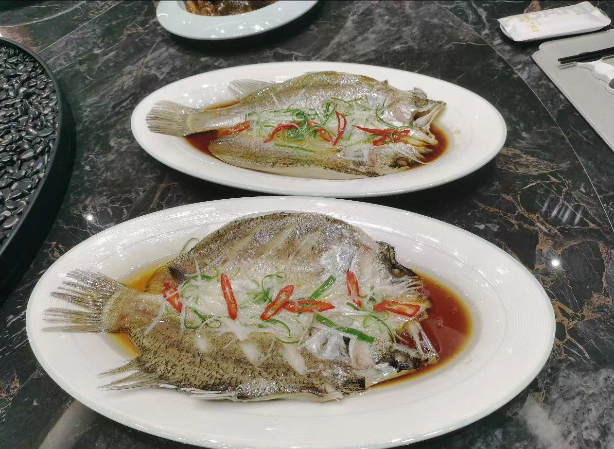 游龙斑(金目鲈鱼):宴席鱼中的低调畅销品