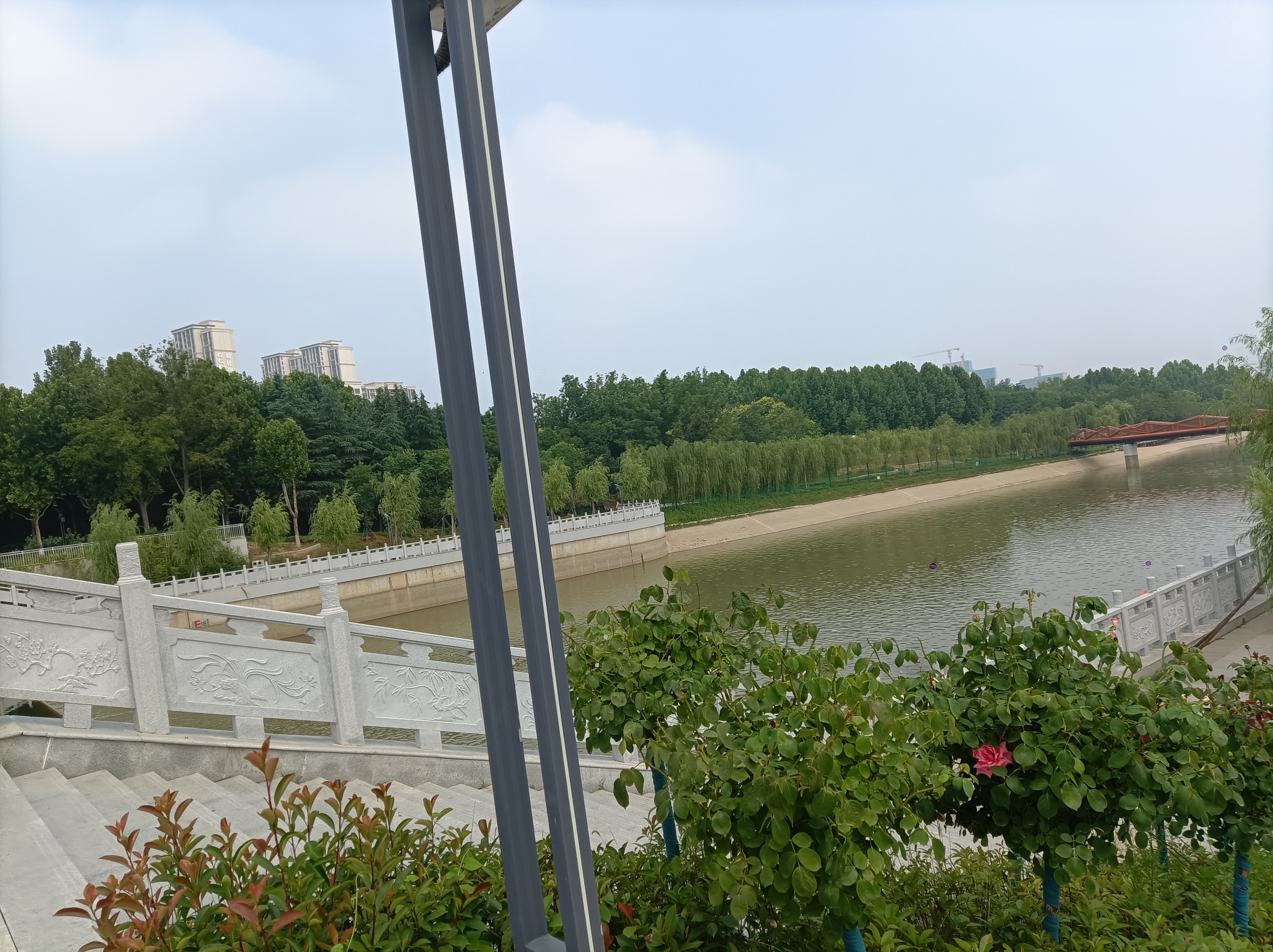 暑假一起逛郑州# 夏日郑州暑假羡, 雕塑公园风光秀,碧水蓝天,天鹅