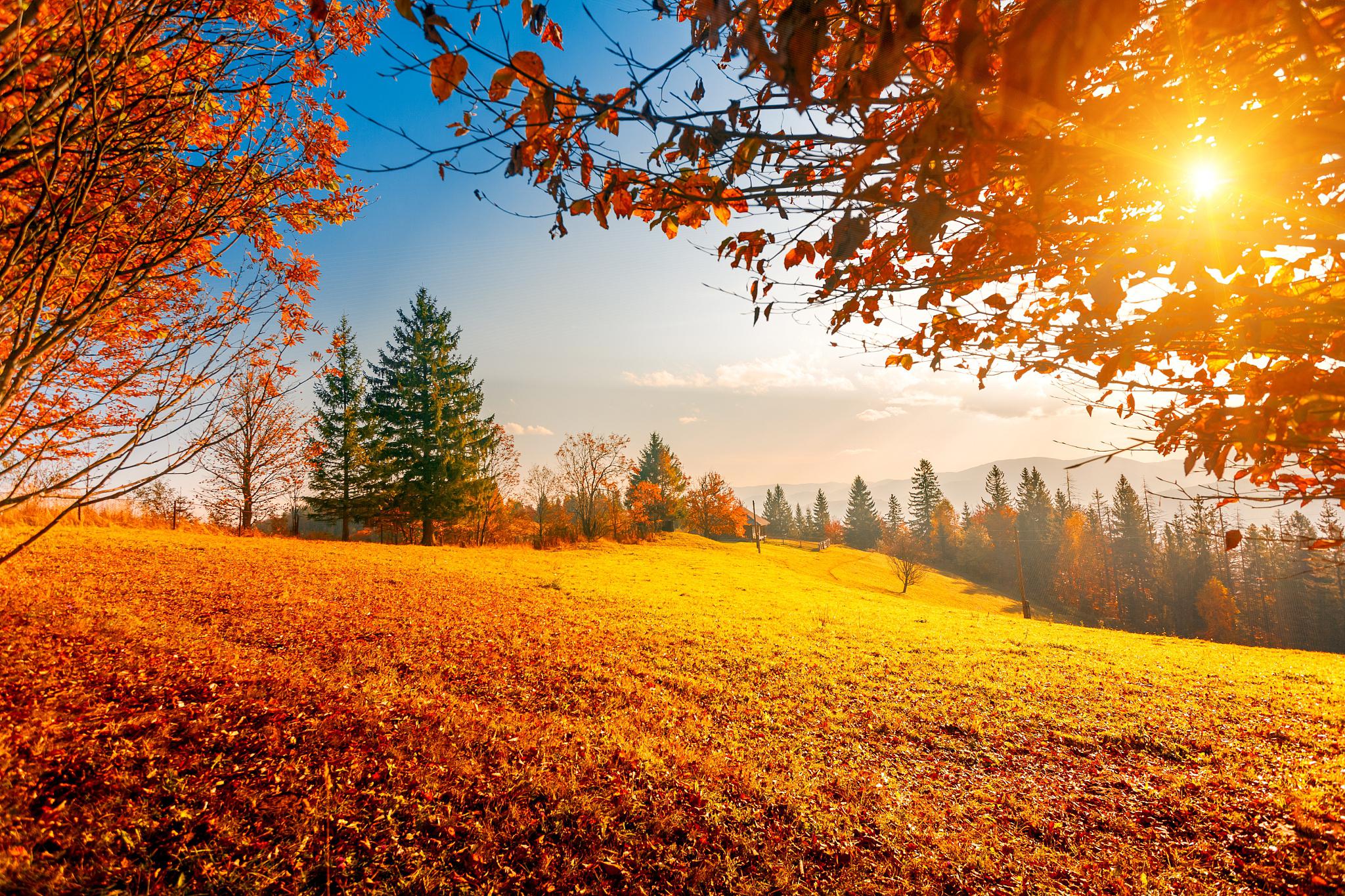 文化格图群 文/党永锋(谢达安)——(步韵)老大哥礼赞