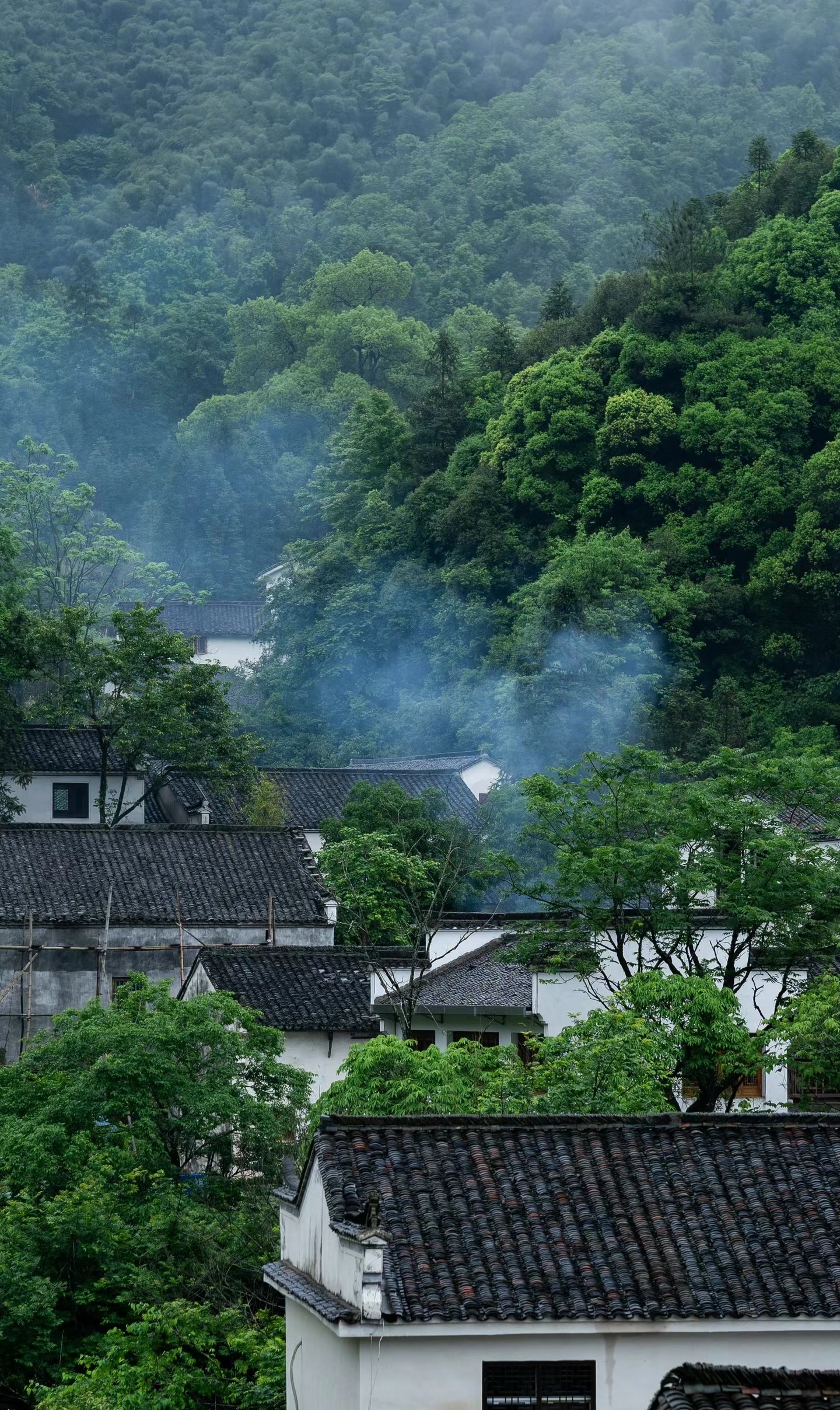 安徽省池州市石台县的白石岭古村,始建于明洪武四年.