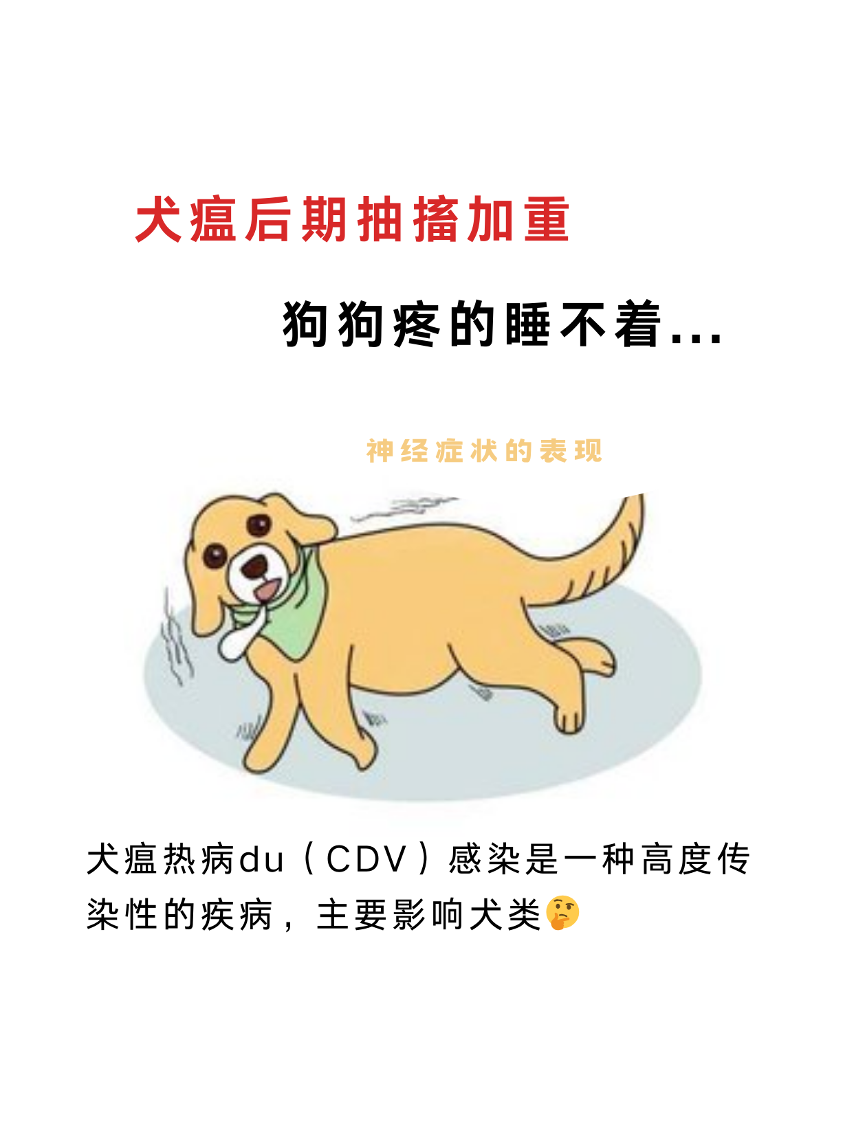 狗狗犬瘟晚期太痛苦了图片