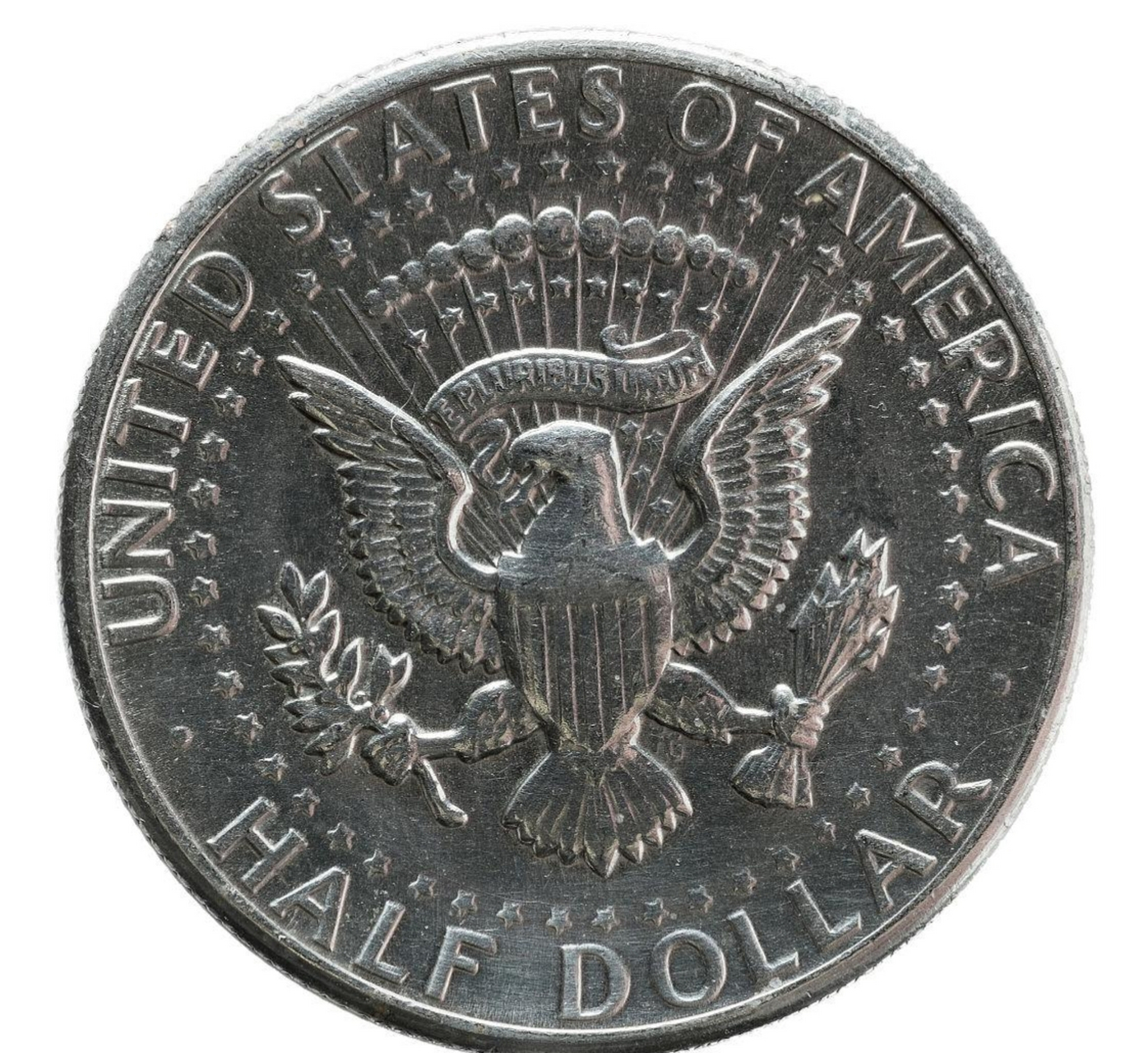 早在1782年,白头海雕被刻上美国国徽,随后被普遍认为是美国国鸟