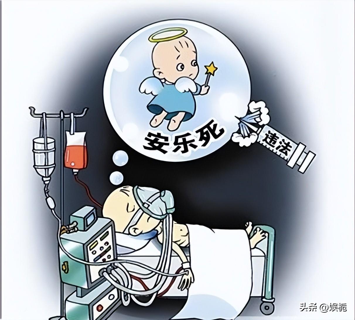 安乐死图片漫画图片