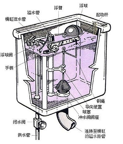 虹吸马桶的构造原理