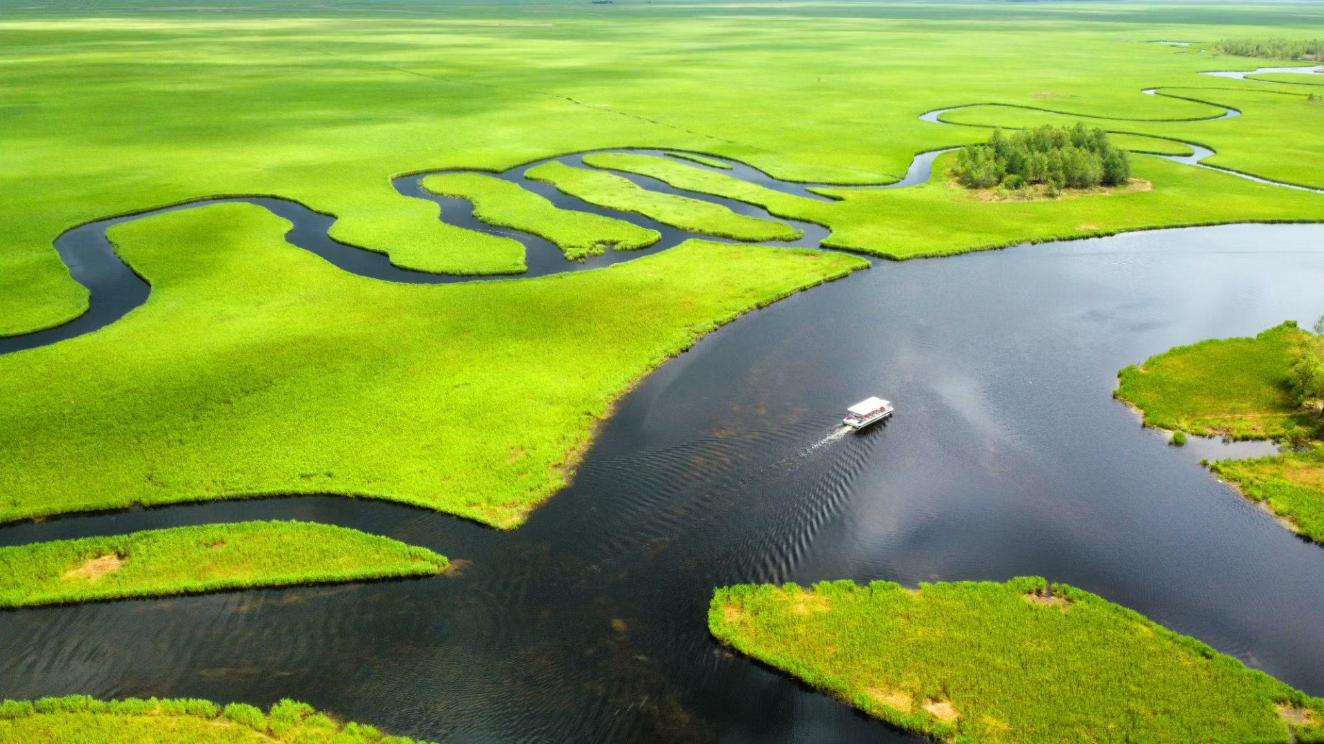 世界大湿地中国鹤家乡 黑龙江扎龙国家级自然保护区