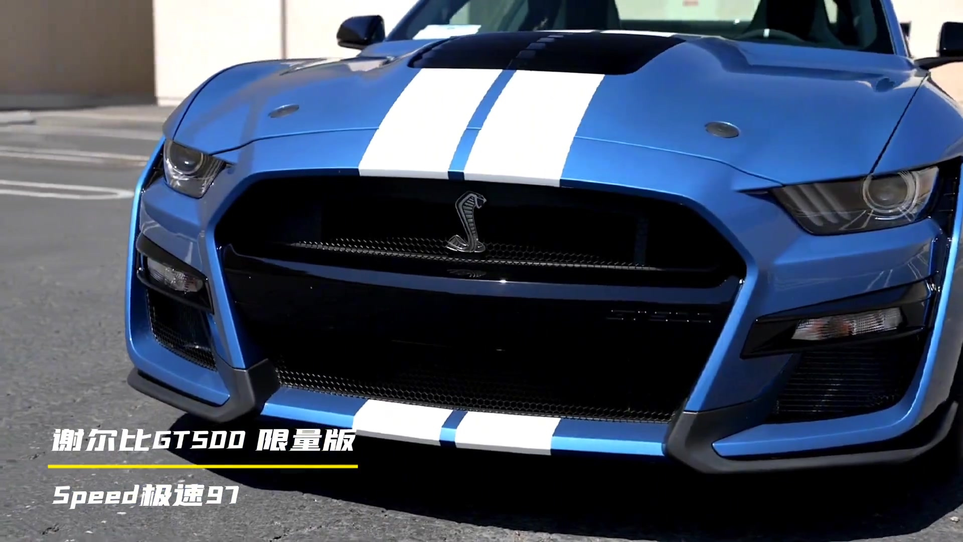 野马gt500谢尔比报价图片