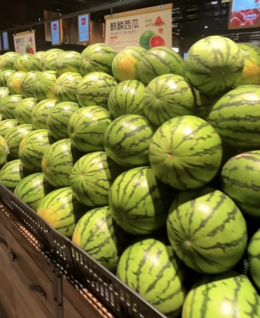 在中国,西瓜超市总是琳琅满目,各种各样的西瓜摆满货架.