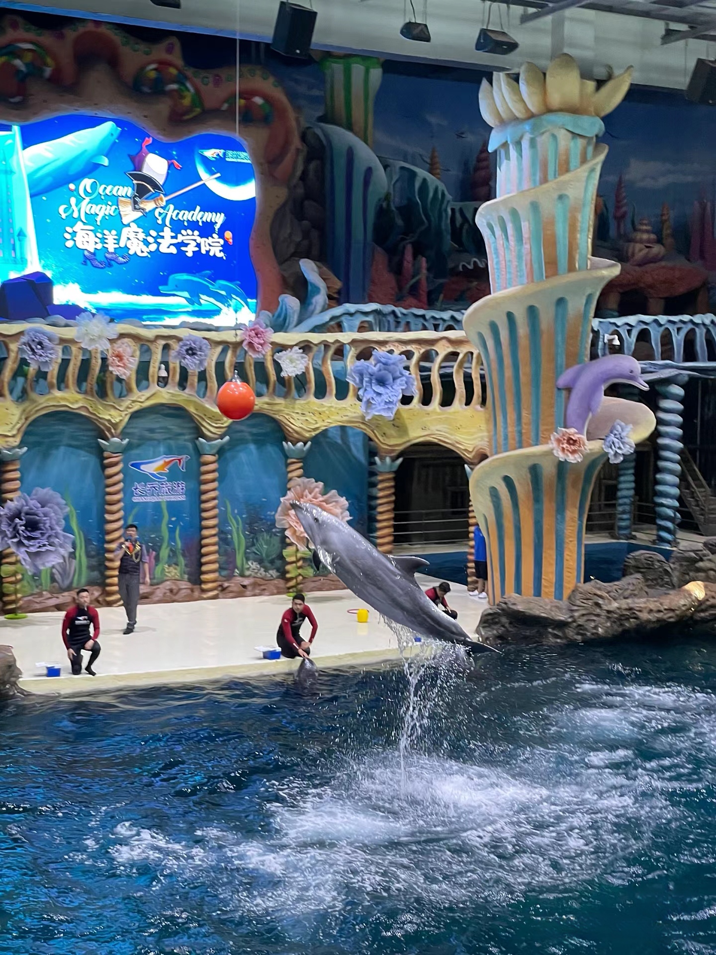 火爆朋友圈的郑州海洋馆,终于轮到我前来探访并拍照留念啦!
