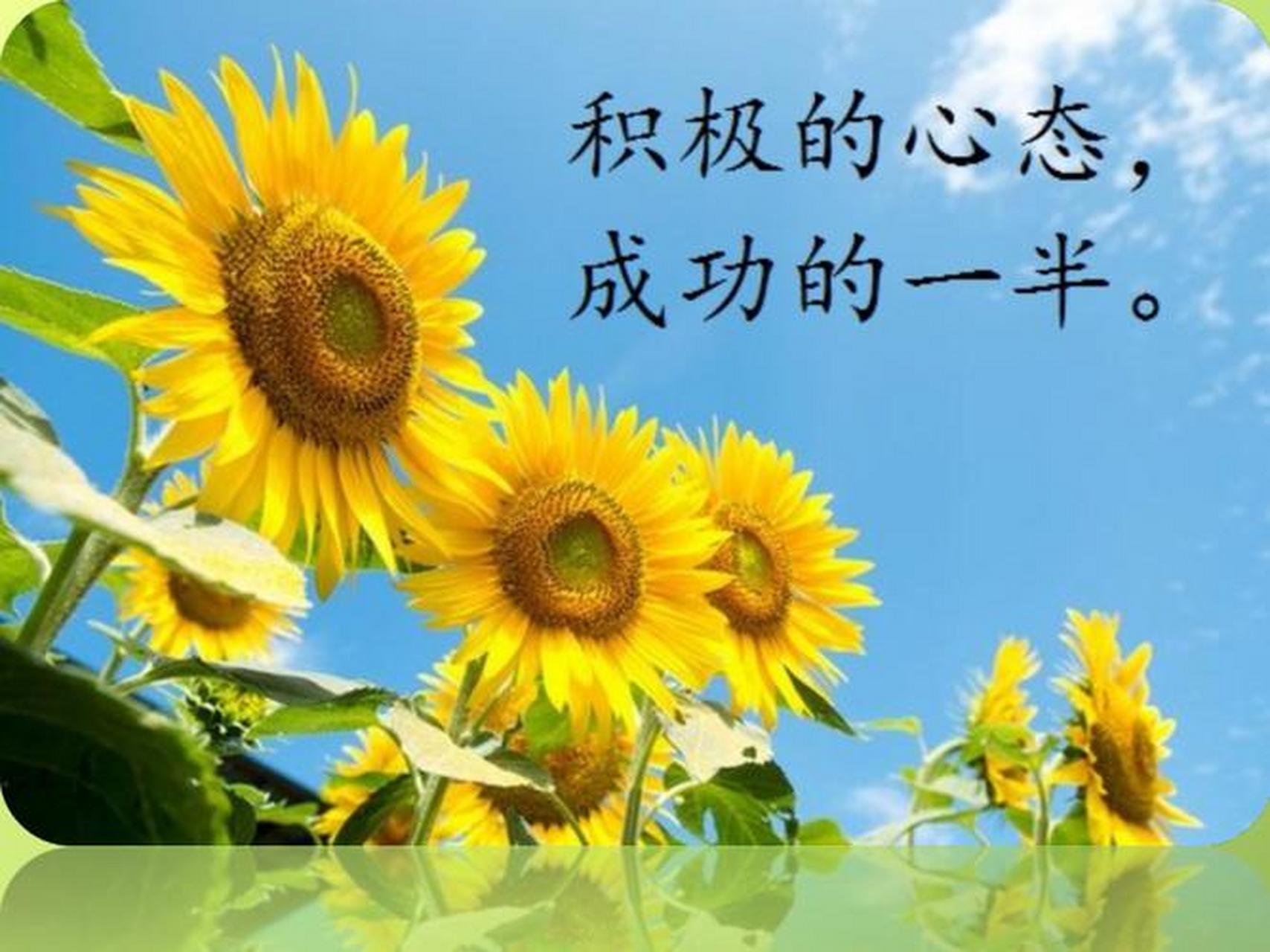 动态夏日征集令#  正能量励志人生感悟: *在人生之路上,坚持正能量和 