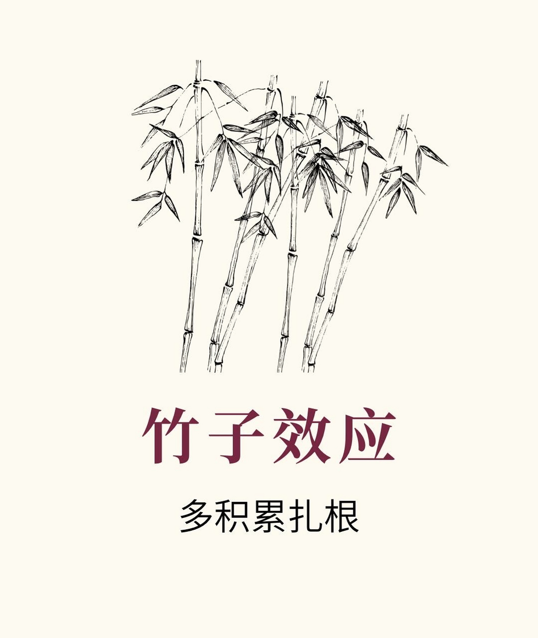 竹子效应:多积累扎根