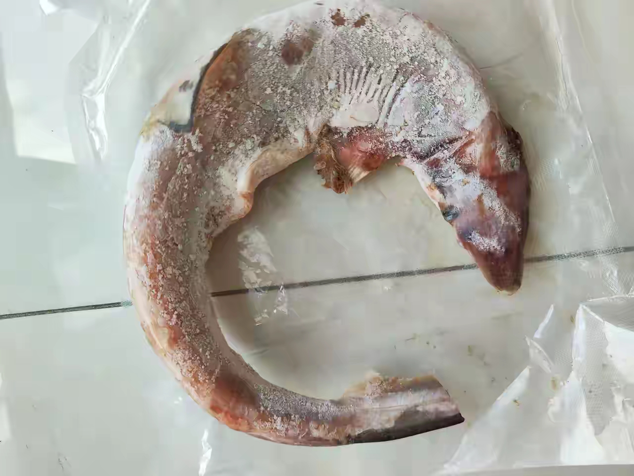 朋友送来的鱼,但我不认识也不知道怎么做,有没有人知道这是什么鱼吗?