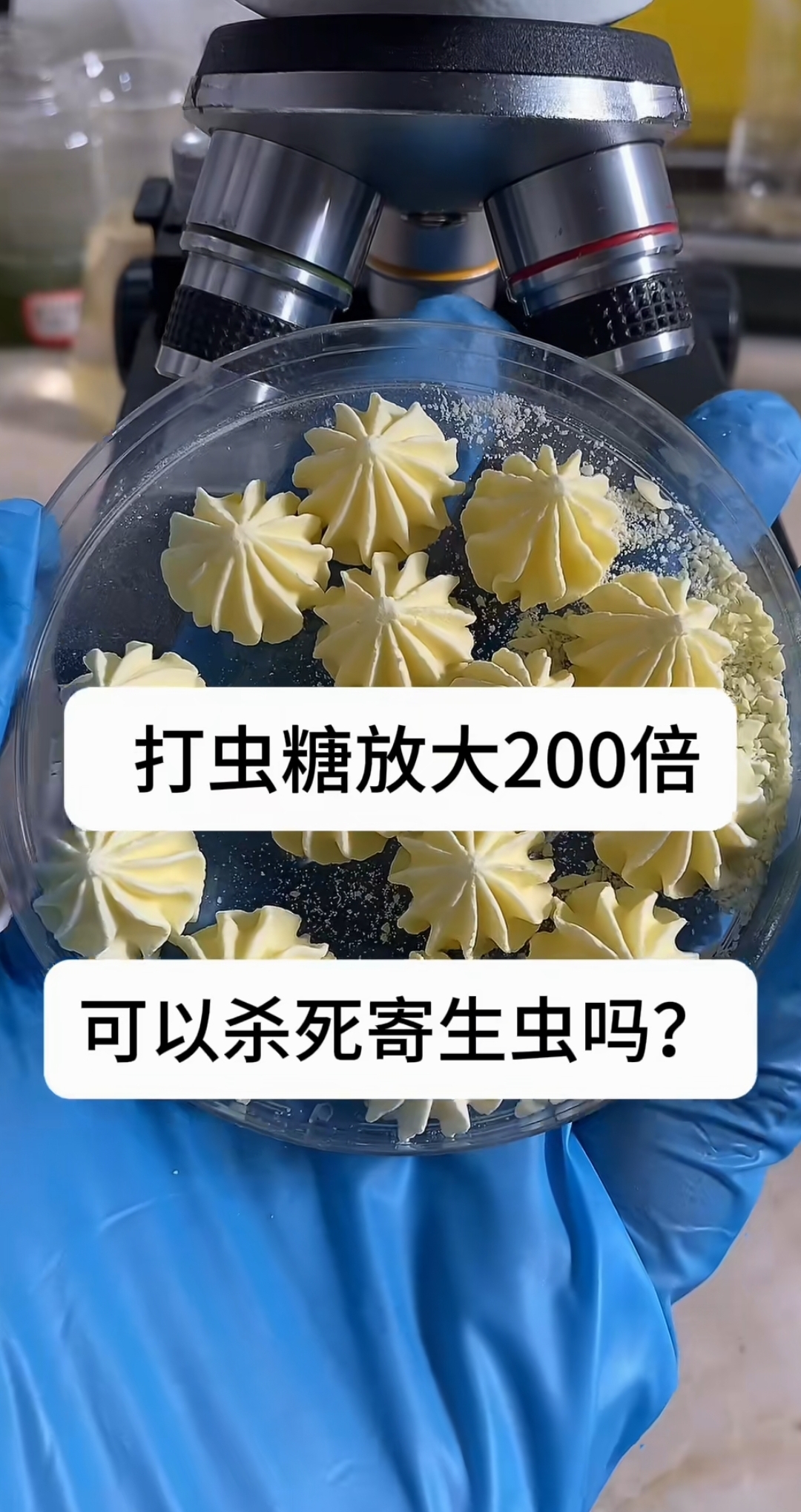 吃蛔虫药后会拉出来吗图片