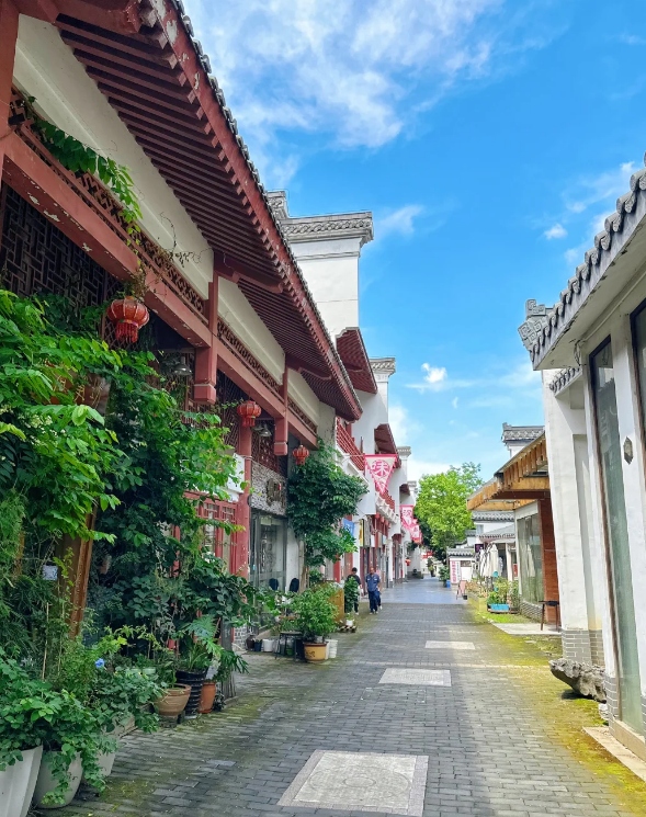 午后的阳光烤着大地,吃完饭后我在超市买了些水果带