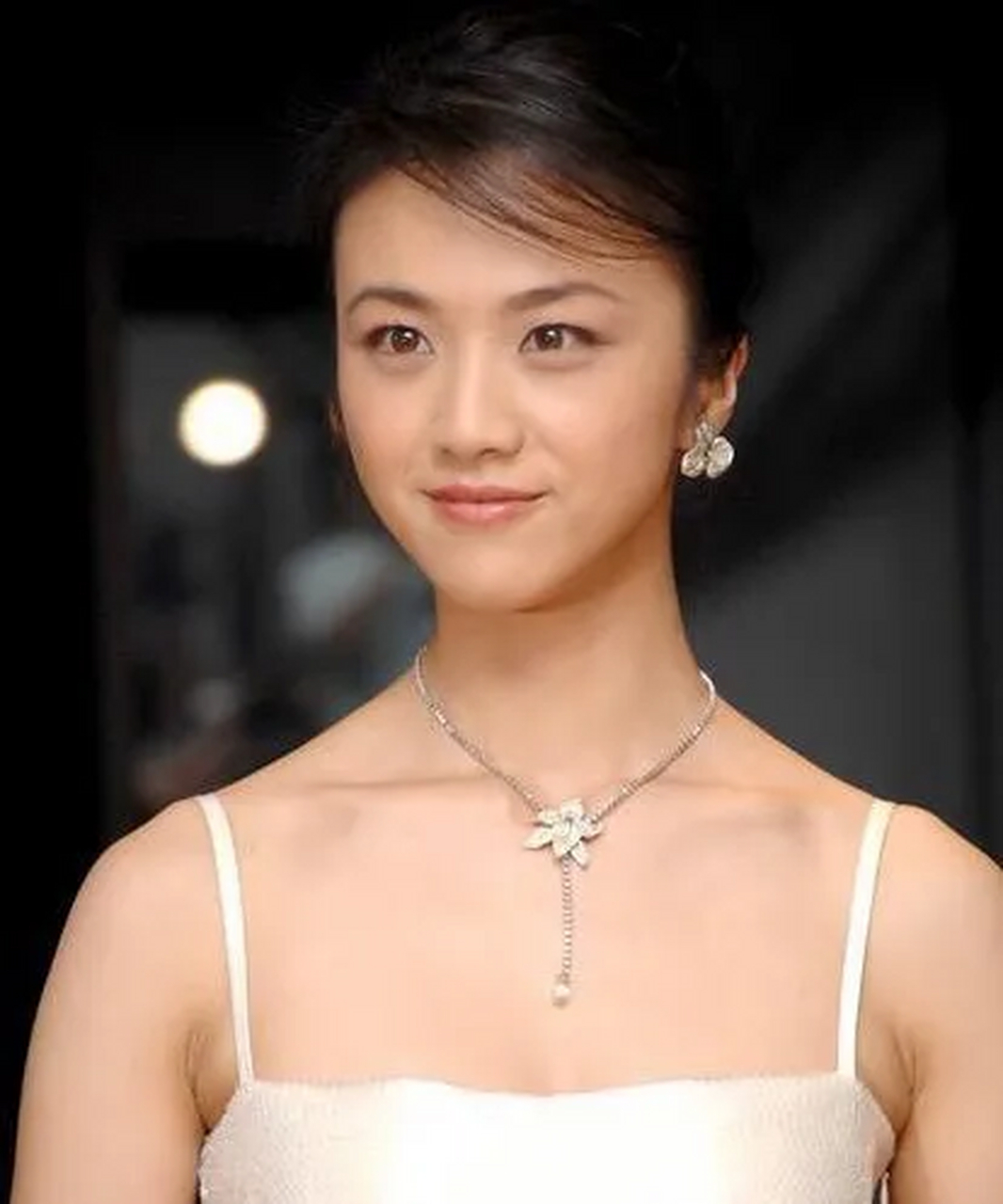 浙江籍的十大明星: 一,周迅,浙江衢州 二,汤唯,浙江杭州 三,陈学冬