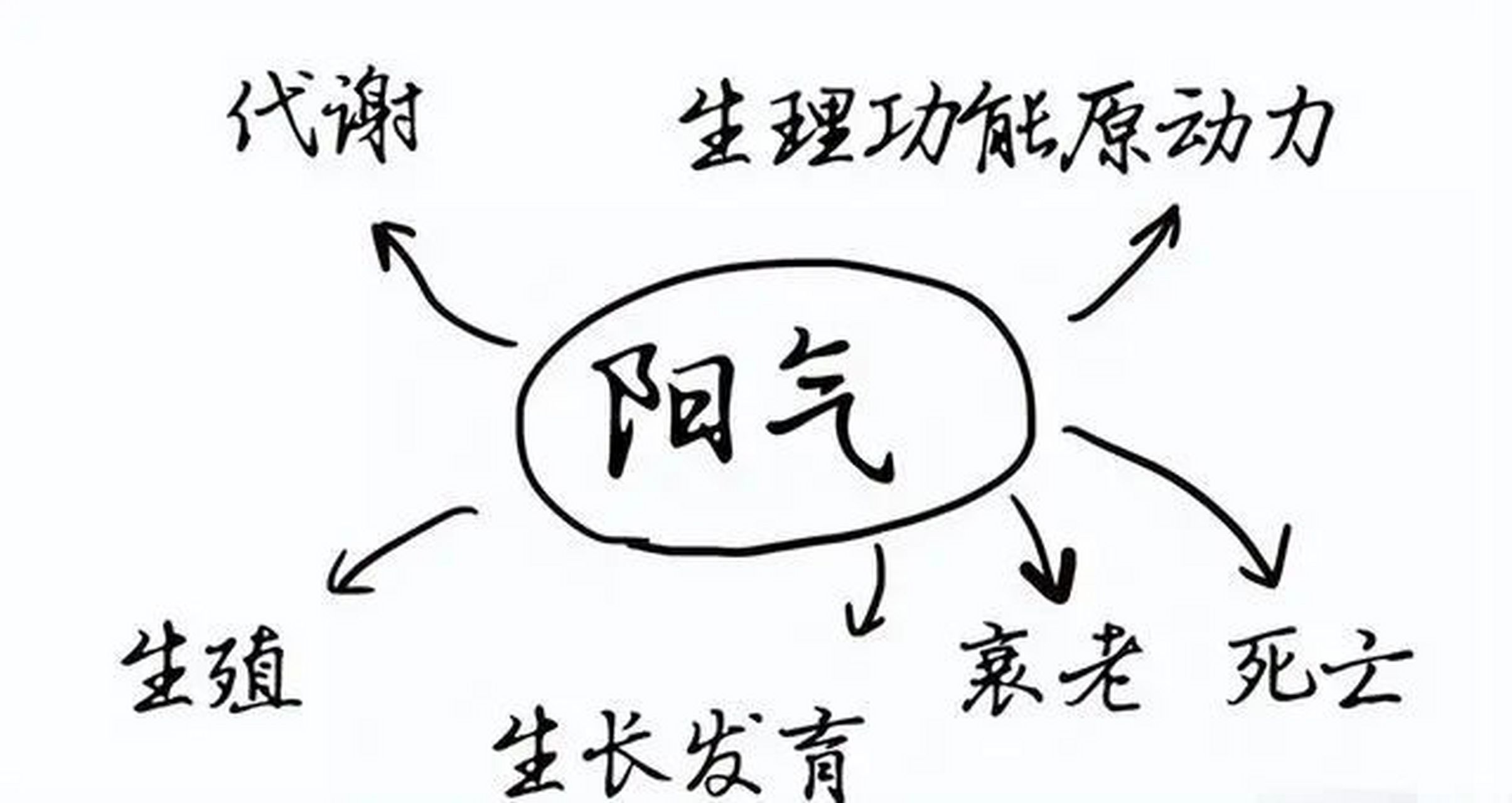 阳气已虚,没有助力,是无法自己恢复平衡的.