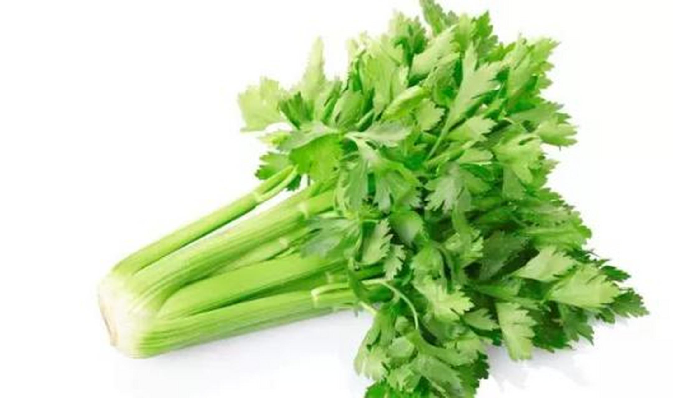 芹菜被誉为"蔬菜皇后",也一直被人们称为是"厨房里的药物","药芹".