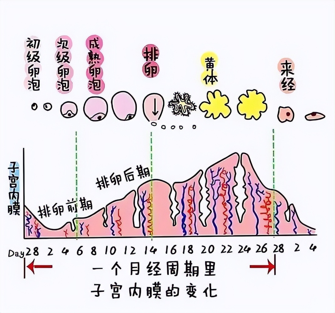 baijiahao.baidu.com