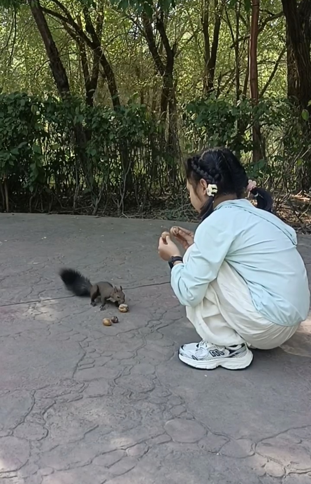 松鼠抱的正确姿势图片图片